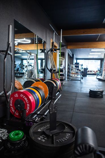 Mad Dog Gym interior