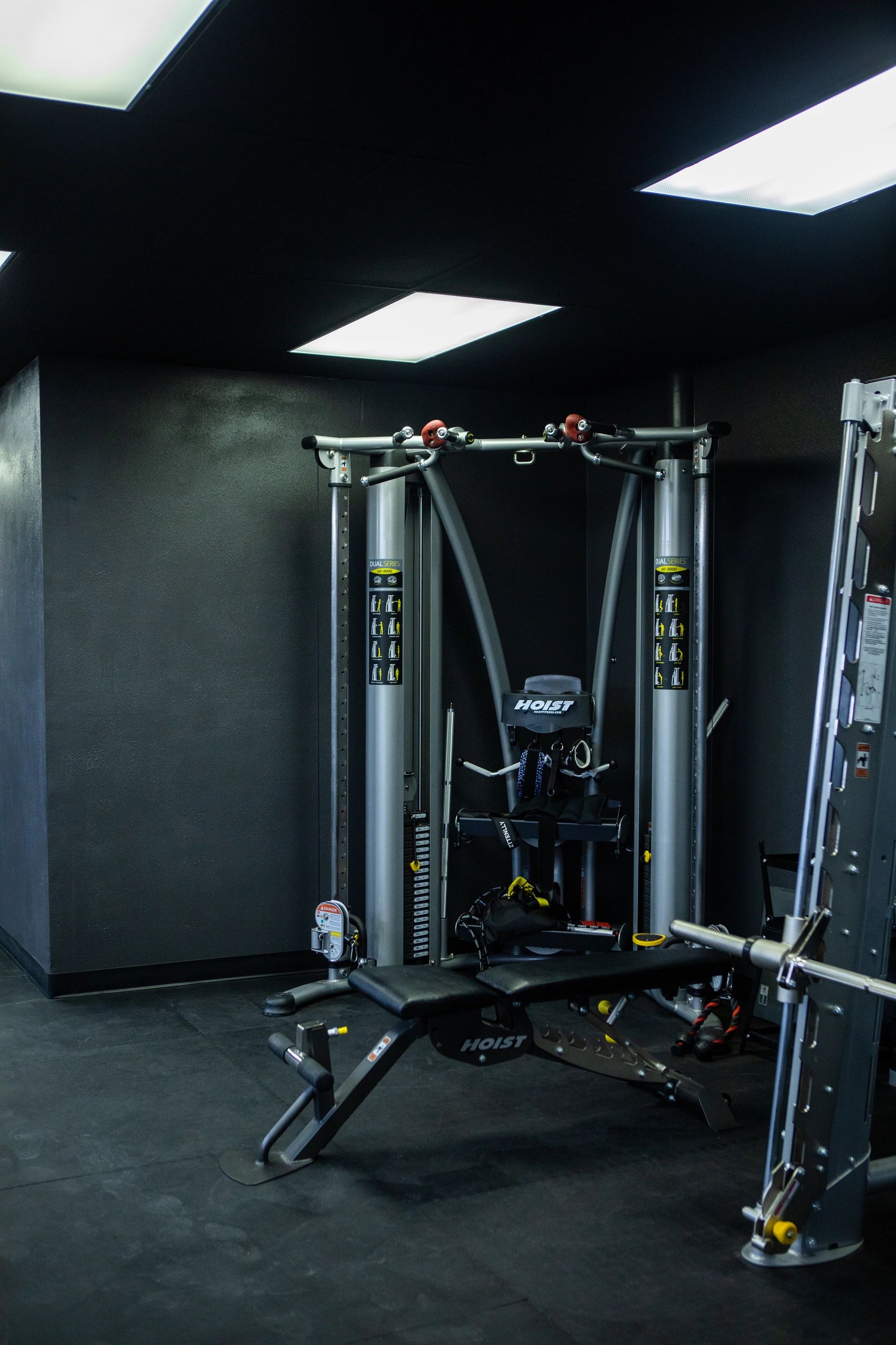 Mad Dog Gym weights